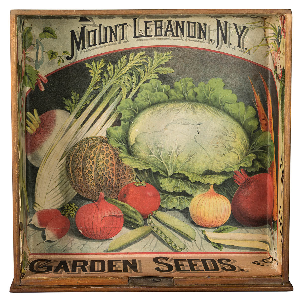 5 VEGETABLE SEED PACKS Set C Garden Collection 1920's – BestLittleHoardHouse